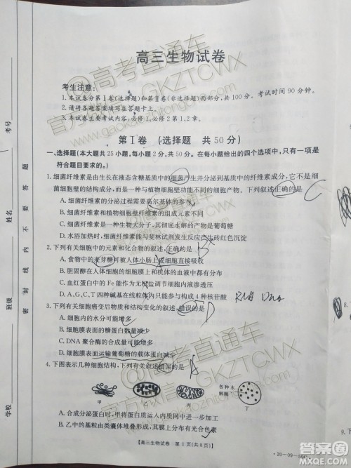2020届山西金太阳10月第二次联考生物试题及参考答案 2020届山西金太阳10月第二次联考生物试题及参考答案