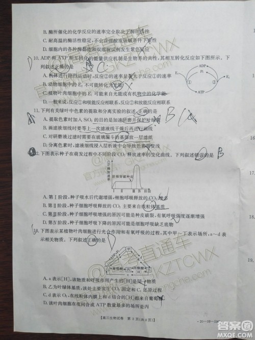 2020届山西金太阳10月第二次联考生物试题及参考答案 2020届山西金太阳10月第二次联考生物试题及参考答案