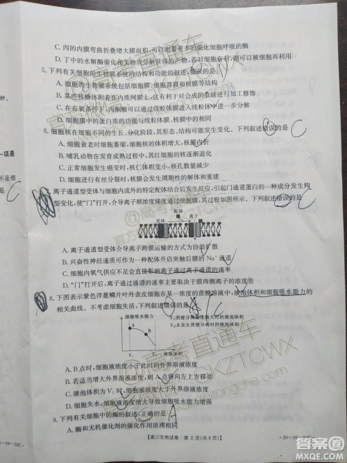 2020届山西金太阳10月第二次联考生物试题及参考答案 2020届山西金太阳10月第二次联考生物试题及参考答案