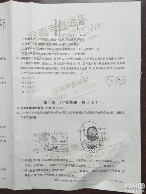 2020届山西金太阳10月第二次联考生物试题及参考答案