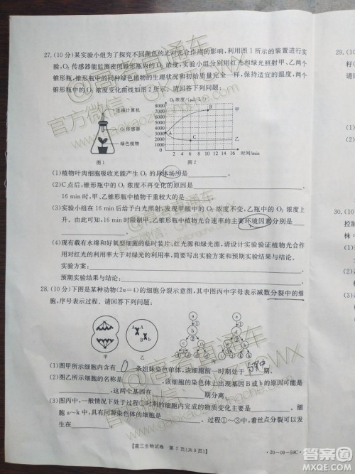 2020届山西金太阳10月第二次联考生物试题及参考答案