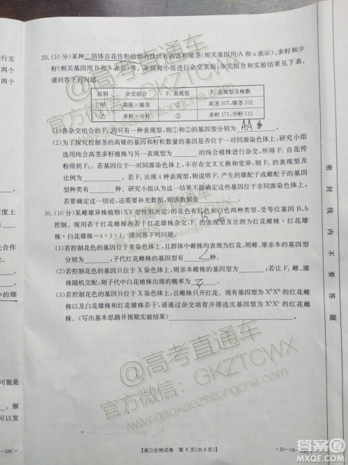 2020届山西金太阳10月第二次联考生物试题及参考答案 2020届山西金太阳10月第二次联考生物试题及参考答案