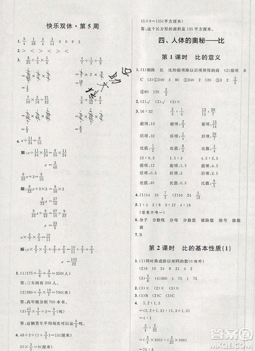 2019秋季阳光计划第一步六年级数学上册青岛版答案