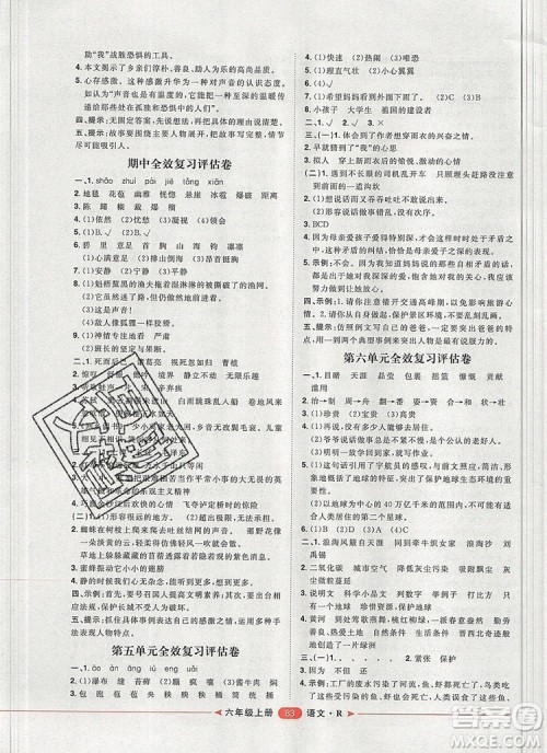 2019秋季阳光计划第二步六年级语文上册人教版答案 2019秋季阳光计划第二步六年级语文上册人教版答案
