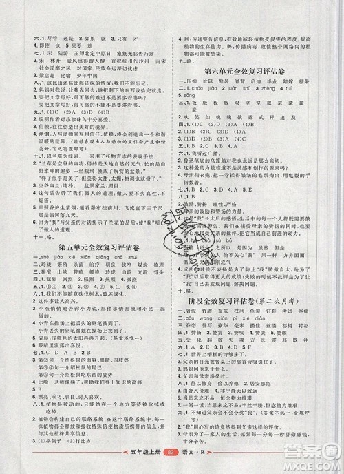 2019秋季阳光计划第二步五年级语文上册人教版答案 2019秋季阳光计划第二步五年级语文上册人教版答案