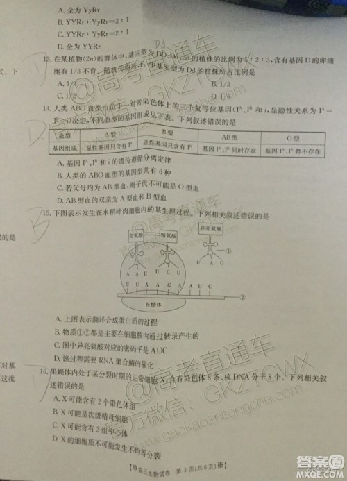 2020届陕西金太阳高三10月联考生物试题及参考答案