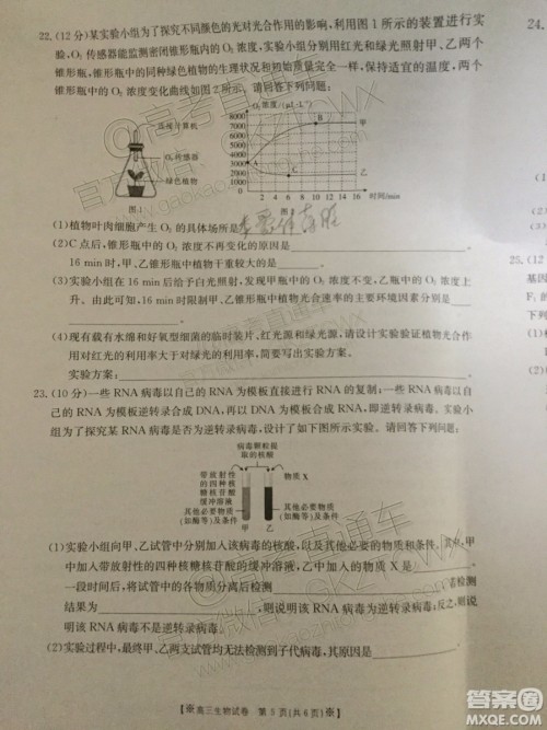 2020届陕西金太阳高三10月联考生物试题及参考答案 2020届陕西金太阳高三10月联考生物试题及参考答案