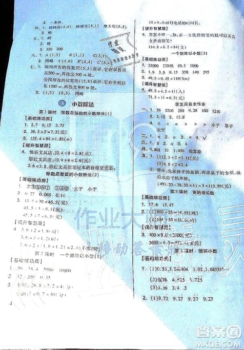 山东科学技术出版社2019新思维伴你学五年级数学上册人教版答案 山东科学技术出版社2019新思维伴你学五年级数学上册人教版答案