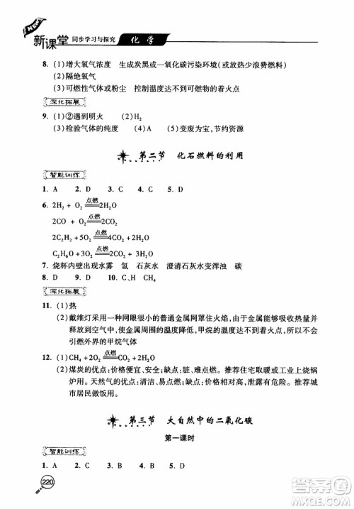 2019年新课堂同步学习与探究化学九年级上学期人教版参考答案