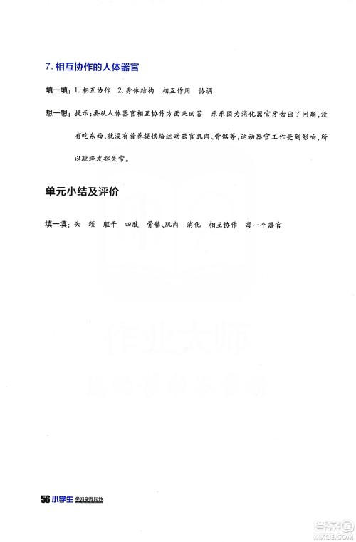 四川民族出版2019社新课标小学生学习实践园地科学四年级上册人教版答案 四川民族出版2019社新课标小学生学习实践园地科学四年级上册人教版答案