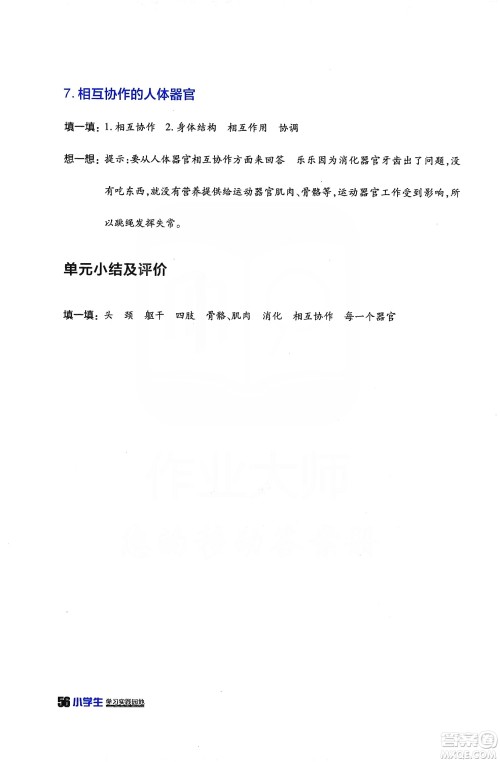 四川民族出版2019社新课标小学生学习实践园地科学四年级上册人教版答案