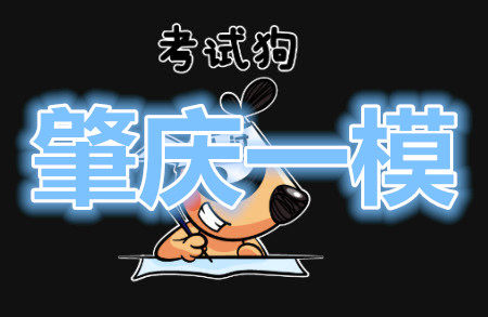 肇庆市2020届高中毕业班第一次统一检测理科数学试题及参考答案