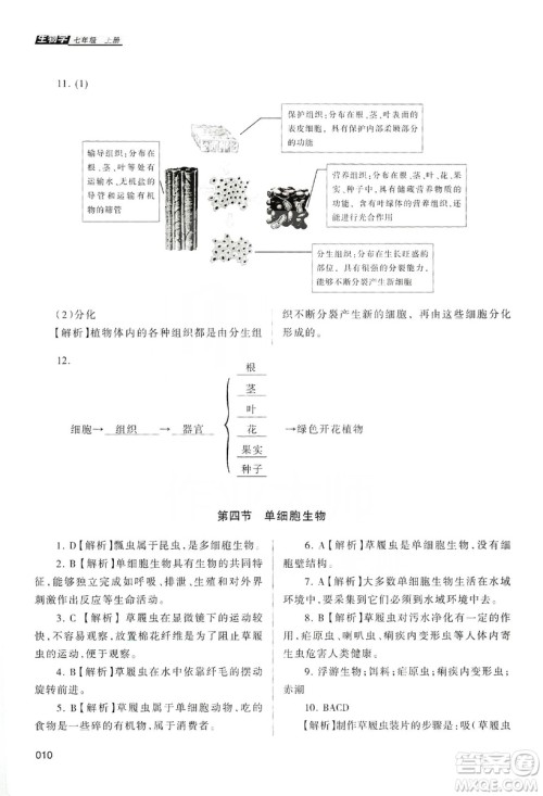 天津教育出版社2019学习质量监测生物学七年级上册人教版答案