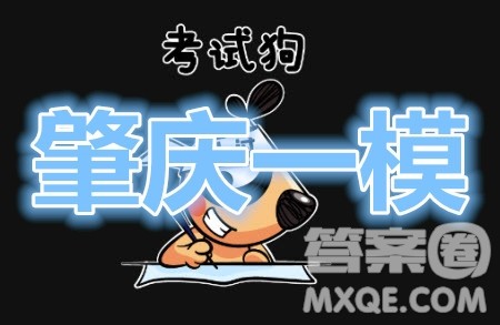 肇庆市2020届高中毕业班第一次统一检测文科数学试题及参考答案