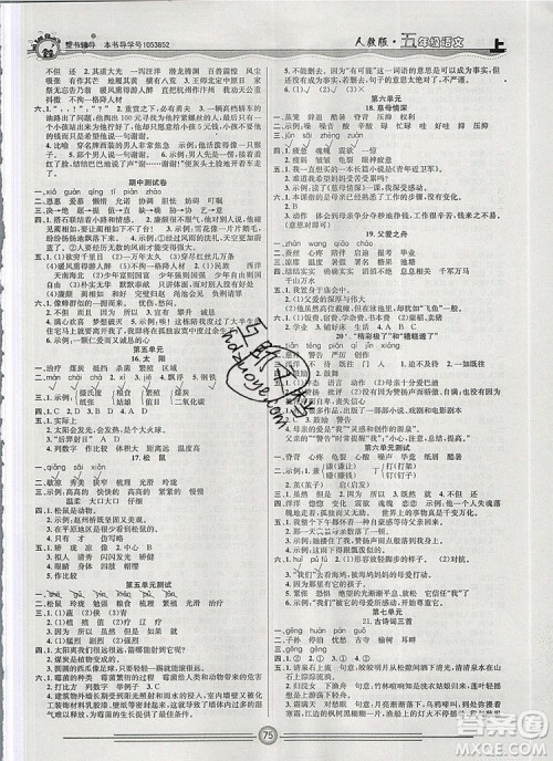 阳光出版社2019年一通百通课时小练五年级语文上册人教版答案