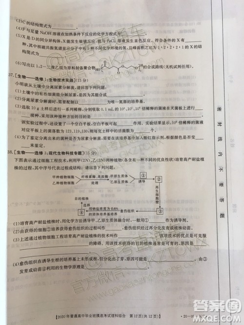 2020届广西南宁百色金太阳高三10月联考理科综合试题及参考答案