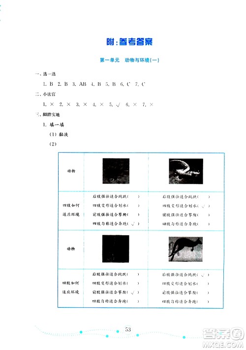 山东教育出版社2019年金版小学科学试卷金钥匙三年级上册参考答案