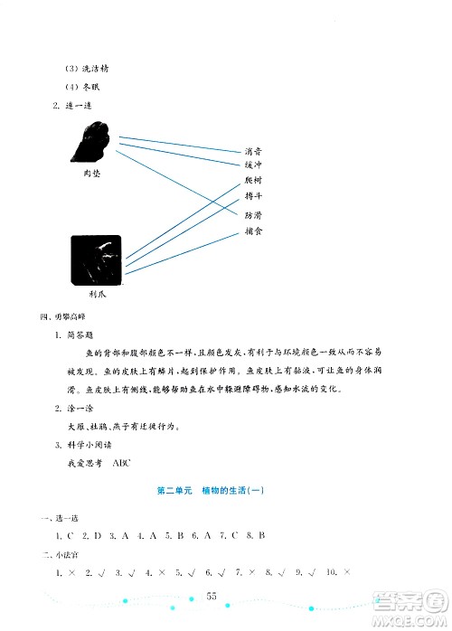 山东教育出版社2019年金版小学科学试卷金钥匙三年级上册参考答案