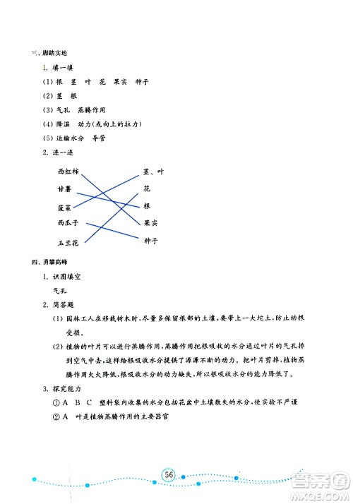 山东教育出版社2019年金版小学科学试卷金钥匙三年级上册参考答案