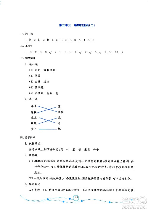 山东教育出版社2019年金版小学科学试卷金钥匙三年级上册参考答案