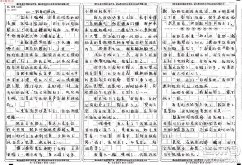 一转身的感动记叙作文800字 关于一转身的感动的记叙文800字