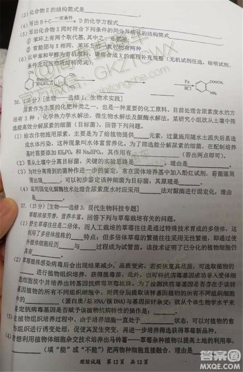 2020届惠州二调理科综合试题及参考答案