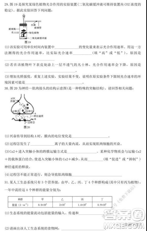 西南名校联盟2020云南师大附中高考适应性考试三生物试题及答案