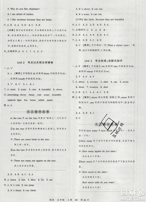 江西人民出版社2019年王朝霞考点梳理时习卷五年级英语上册北师版答案