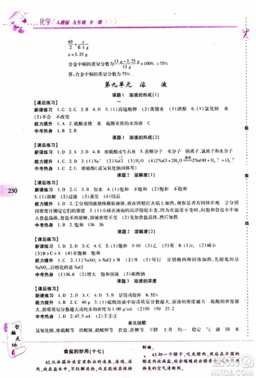 2019年新课程新练习化学九年级全一册人教版参考答案