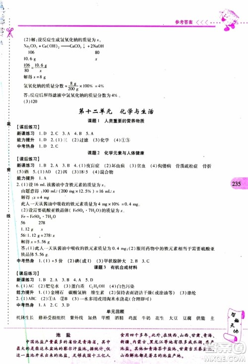 2019年新课程新练习化学九年级全一册人教版参考答案