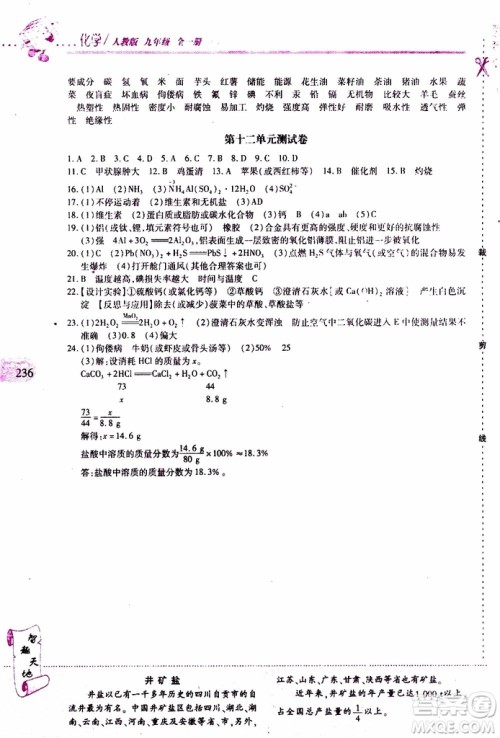 2019年新课程新练习化学九年级全一册人教版参考答案