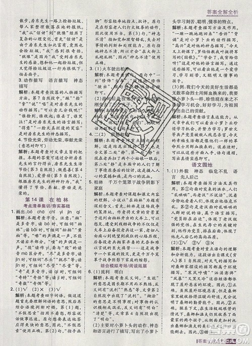 2019年考点集训与满分备考六年级语文上册人教版答案 2019年考点集训与满分备考六年级语文上册人教版答案