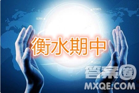 2020届衡水中学高三年级上学期期中考试理科数学试题及答案