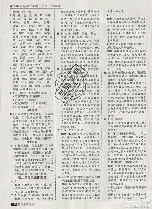 2019年考点集训与满分备考六年级语文上册人教版答案 2019年考点集训与满分备考六年级语文上册人教版答案