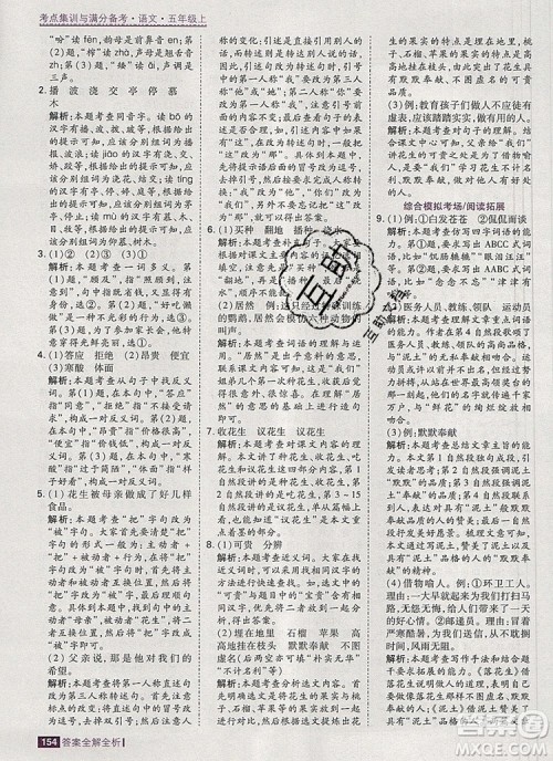 2019年考点集训与满分备考五年级语文上册人教版答案 2019年考点集训与满分备考五年级语文上册人教版答案