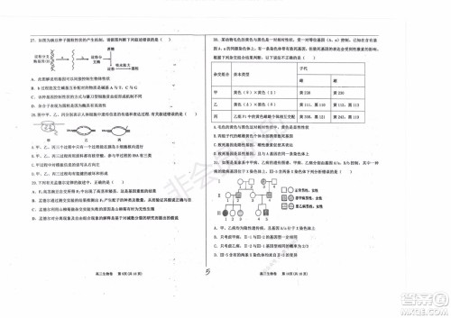 2020届衡水中学高三年级上学期期中考试生物试题及答案