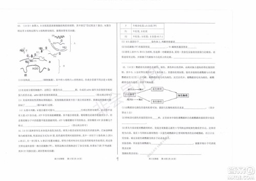 2020届衡水中学高三年级上学期期中考试生物试题及答案