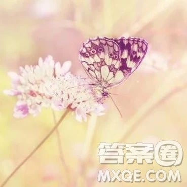 眼前就有好风景作文600字 关于眼前就有好风景的作文600字 眼前就有好风景作文600字 关于眼前就有好风景的作文600字