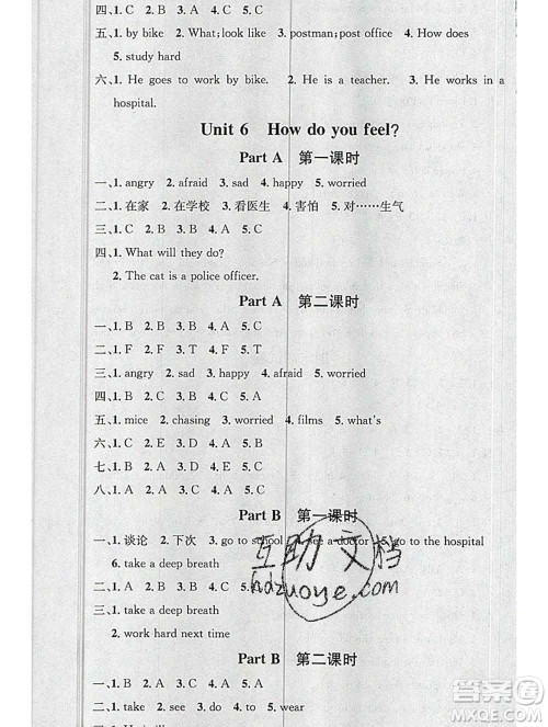 广东经济出版社2019秋名校课堂六年级英语上册人教版答案 广东经济出版社2019秋名校课堂六年级英语上册人教版答案