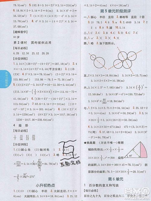 吉林人民出版社2019年小学教材全解读六年级数学上册人教版答案