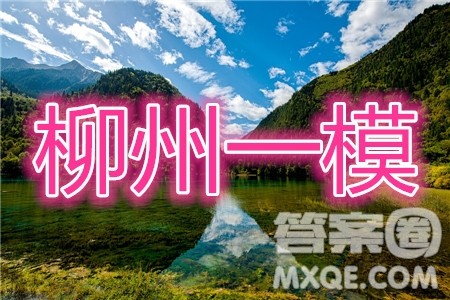 2020届柳州一模语文试题及参考答案