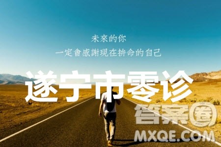 遂宁市高中2020届零诊考试理科数学试题及参考答案 遂宁市高中2020届零诊考试理科数学试题及参考答案