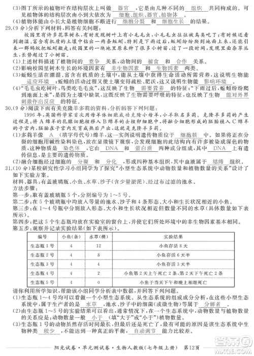 江西高校出版社2019阳光试卷单元测试卷七年级生物上册人教版答案