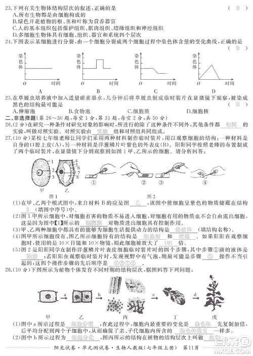 江西高校出版社2019阳光试卷单元测试卷七年级生物上册人教版答案