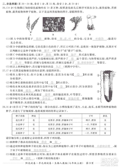 江西高校出版社2019阳光试卷单元测试卷七年级生物上册人教版答案
