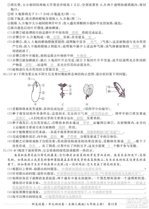 江西高校出版社2019阳光试卷单元测试卷七年级生物上册人教版答案