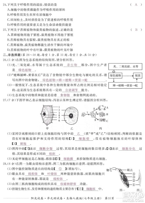 江西高校出版社2019阳光试卷单元测试卷七年级生物上册人教版答案