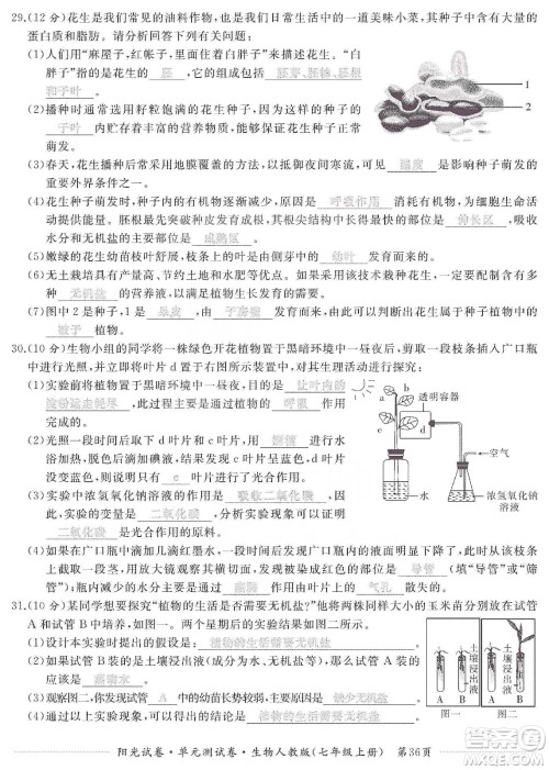江西高校出版社2019阳光试卷单元测试卷七年级生物上册人教版答案