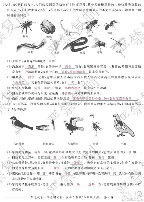 江西高校出版社2019阳光试卷单元测试卷八年级生物上册人教版答案