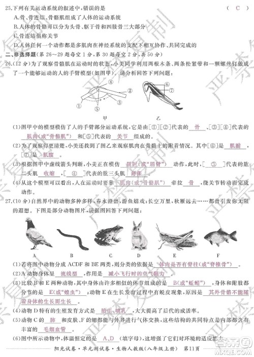 江西高校出版社2019阳光试卷单元测试卷八年级生物上册人教版答案